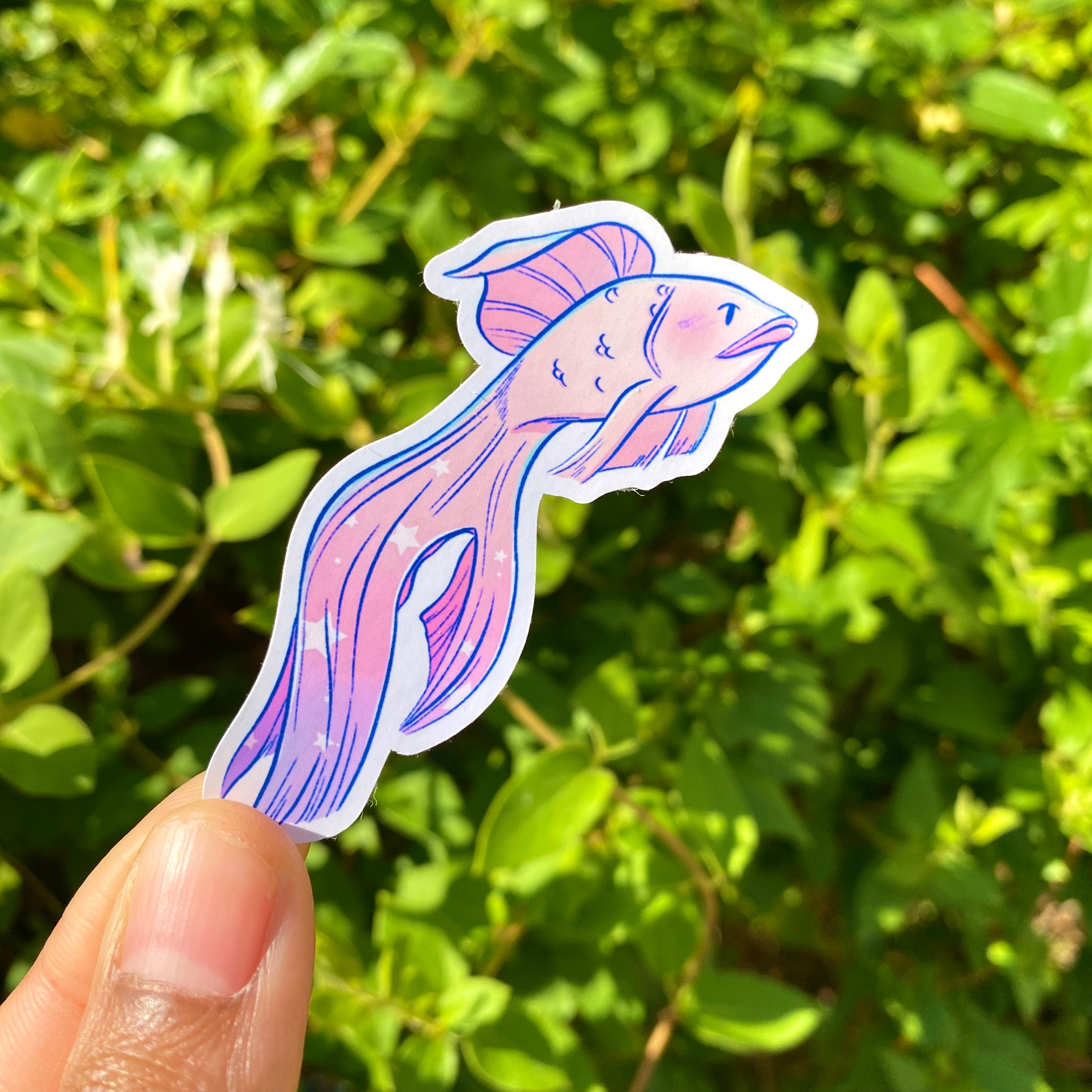 Pink Fish