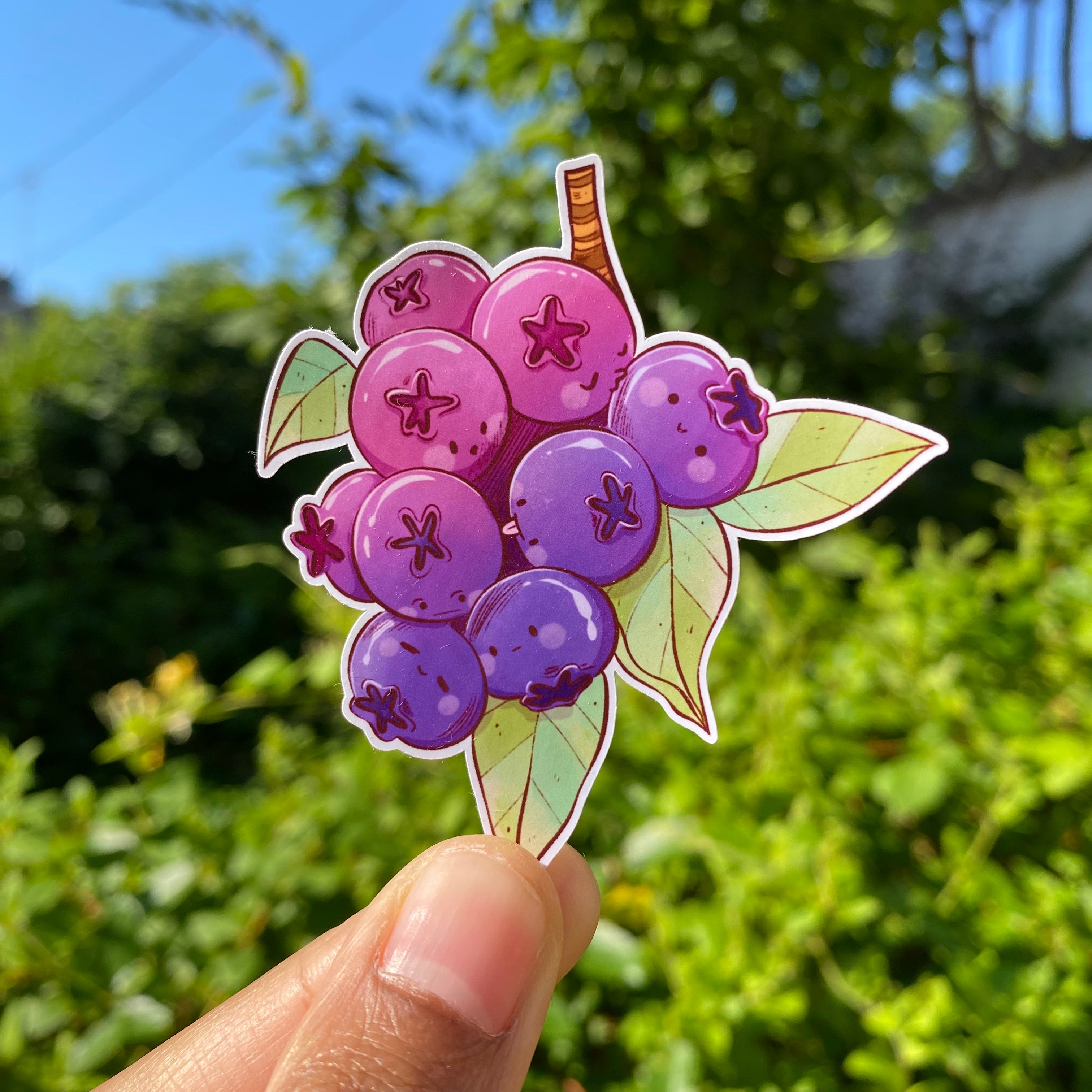 Cute Blueberries